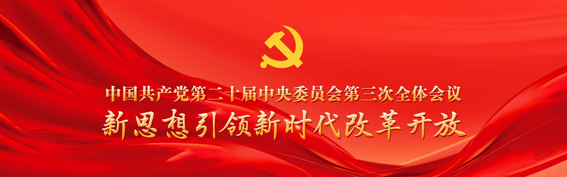 中国共产党第二十界中央委员会第三次全体会议